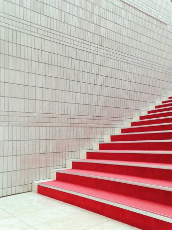 Bryan Johnson's 8 Steps to Reclaim Your Life