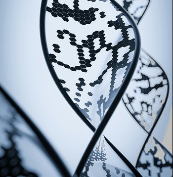 Signs You Have a Fixed Mindset